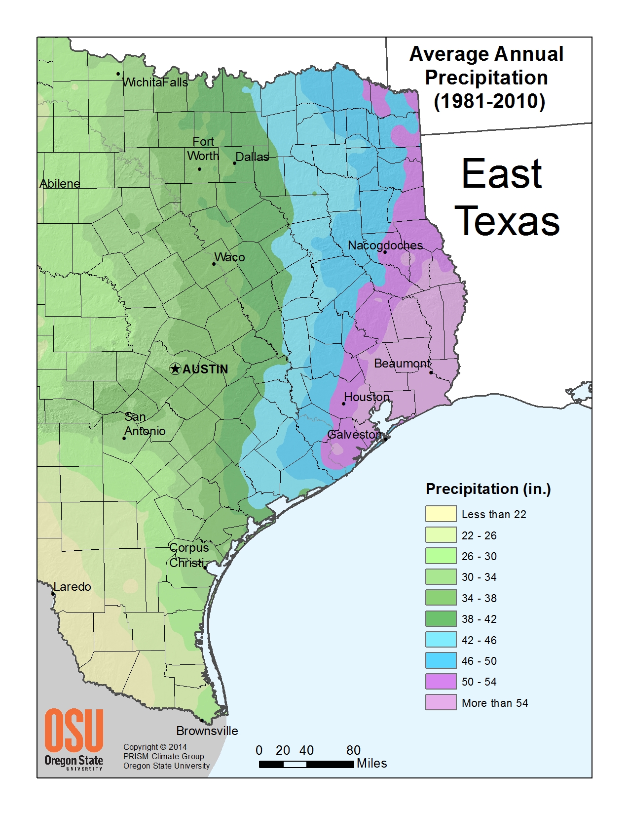 Annual Precipitation East Texas Image