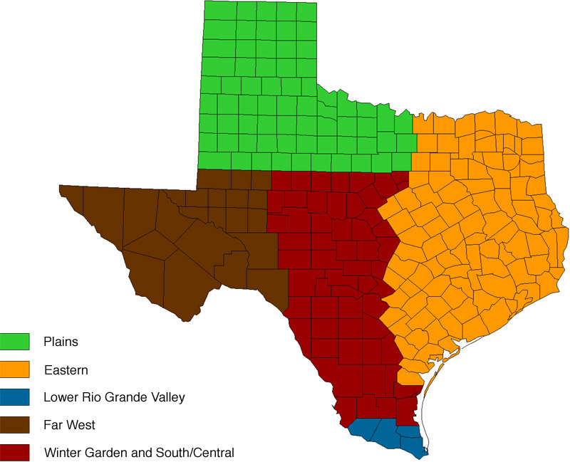 Climate Regions of Texas Image